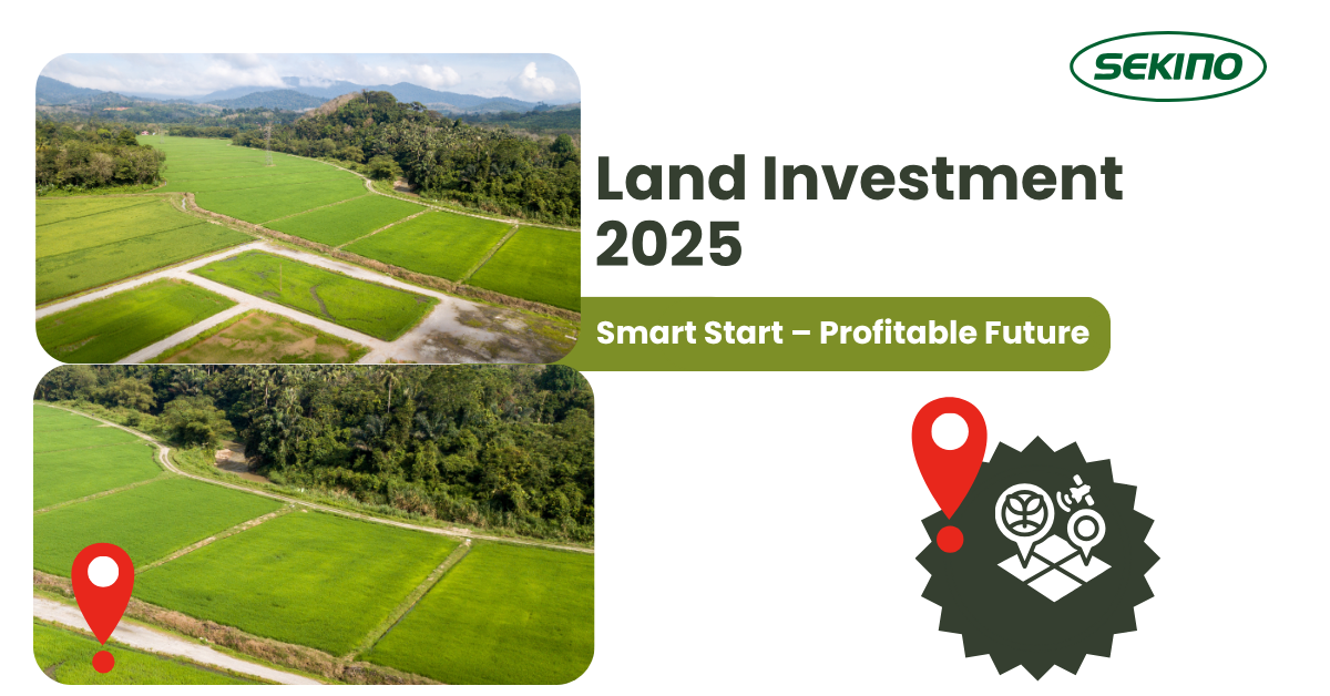 Land Investment 2025